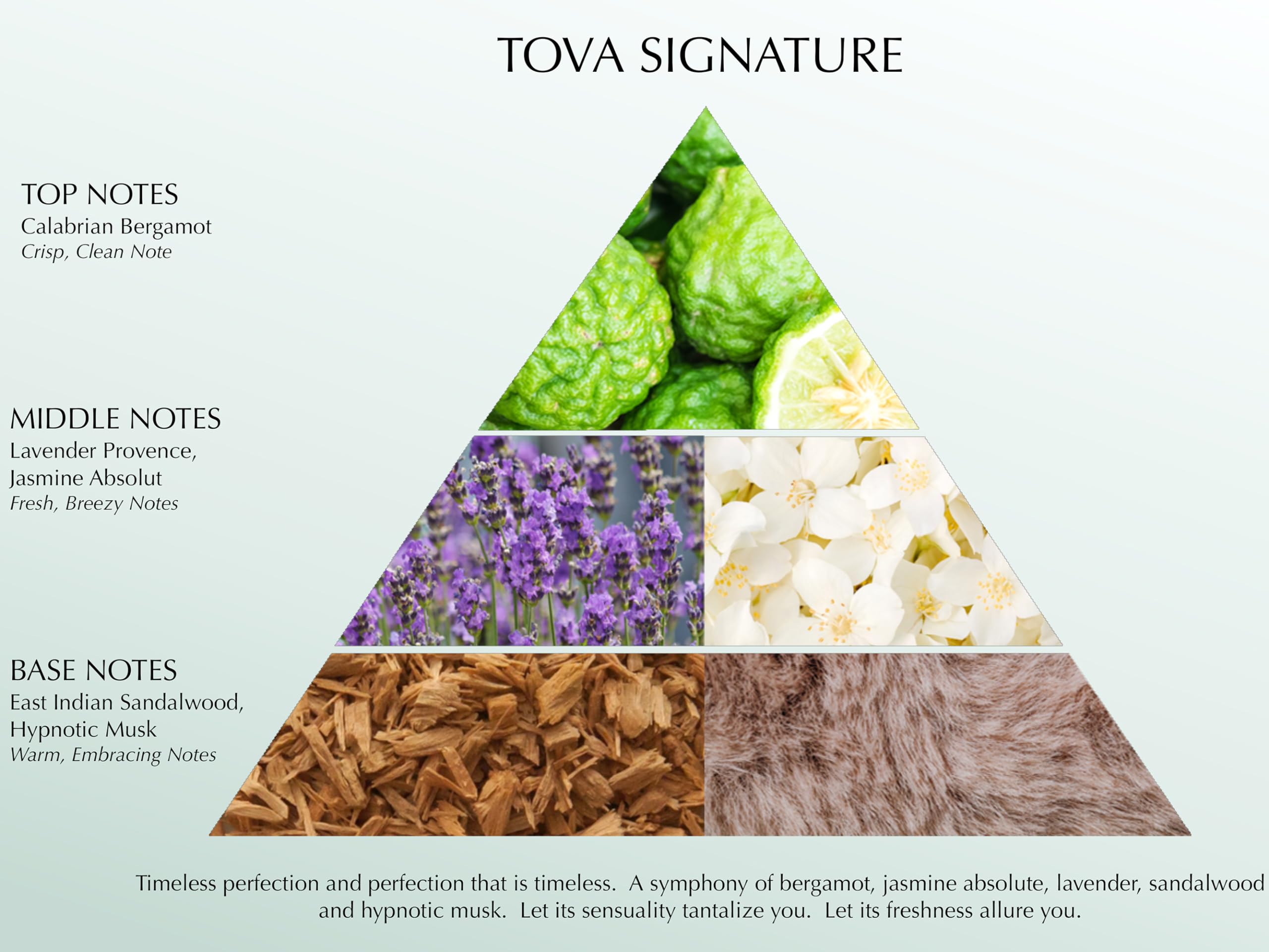 Tova Eau De Parfum Spray Signature 100 ml para mulheres da Tova